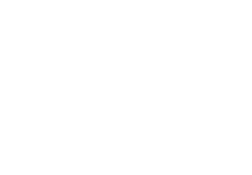 NAVA-Logo white